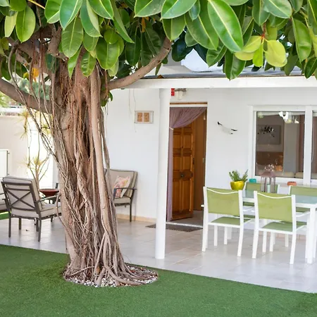 Net Appartamento Dénia