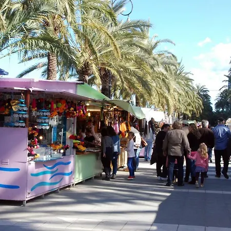 Appartamento Net