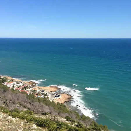 Net Dénia
